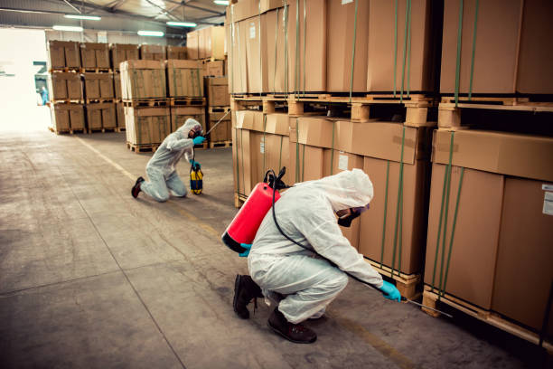 Best Residential Pest Control  in Lake Wales, FL