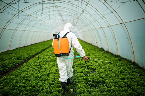 Best Commercial Pest Control Services  in Lake Wales, FL