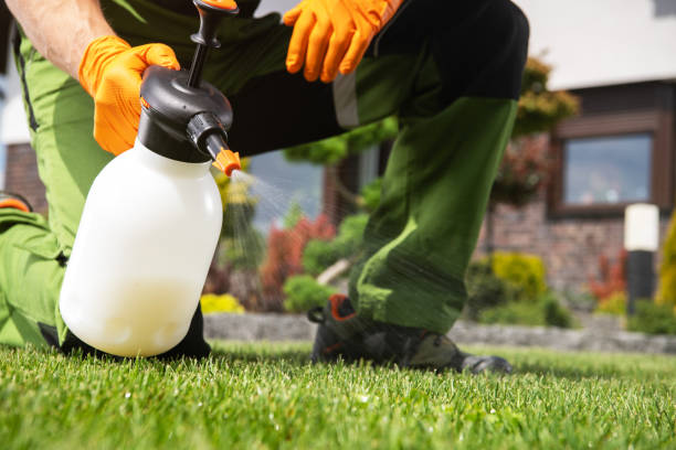 Best Termite Control Services  in Lake Wales, FL