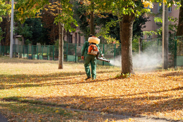 Best Flea Control Services  in Lake Wales, FL