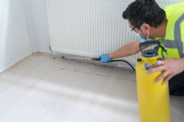 Best Wasp Removal Services  in Lake Wales, FL