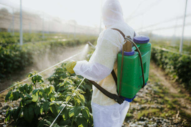 Best Ant Control Services  in Lake Wales, FL